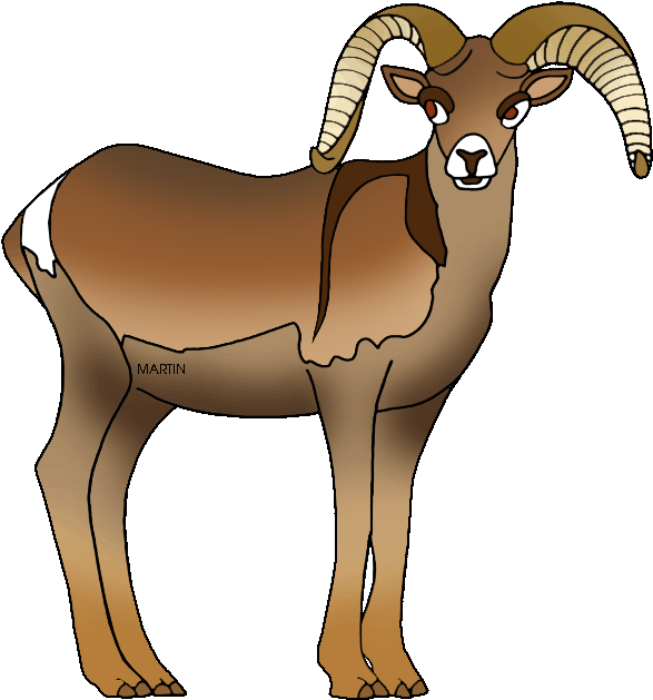 Dall Sheep Clipart Ram Pencil And In Color Dall Sheep - Nevada State Animal Bighorn Sheep (620x648), Png Download