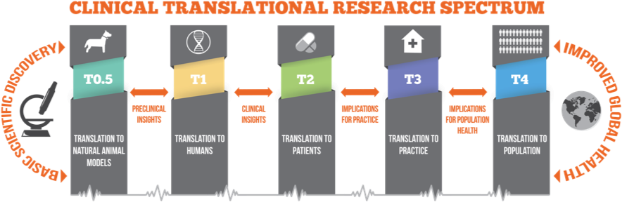 Clinical Translational Research Spectrum (976x294), Png Download