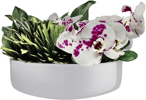 Bouquet (540x660), Png Download