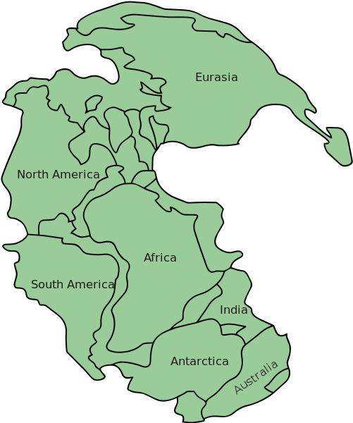 509px Pangaea Continents - Pangaea Png (509x600), Png Download