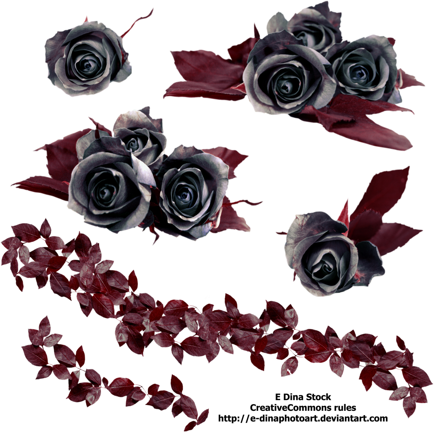 Gothic Rose Png Free Download - Black Roses Png (1600x1600), Png Download