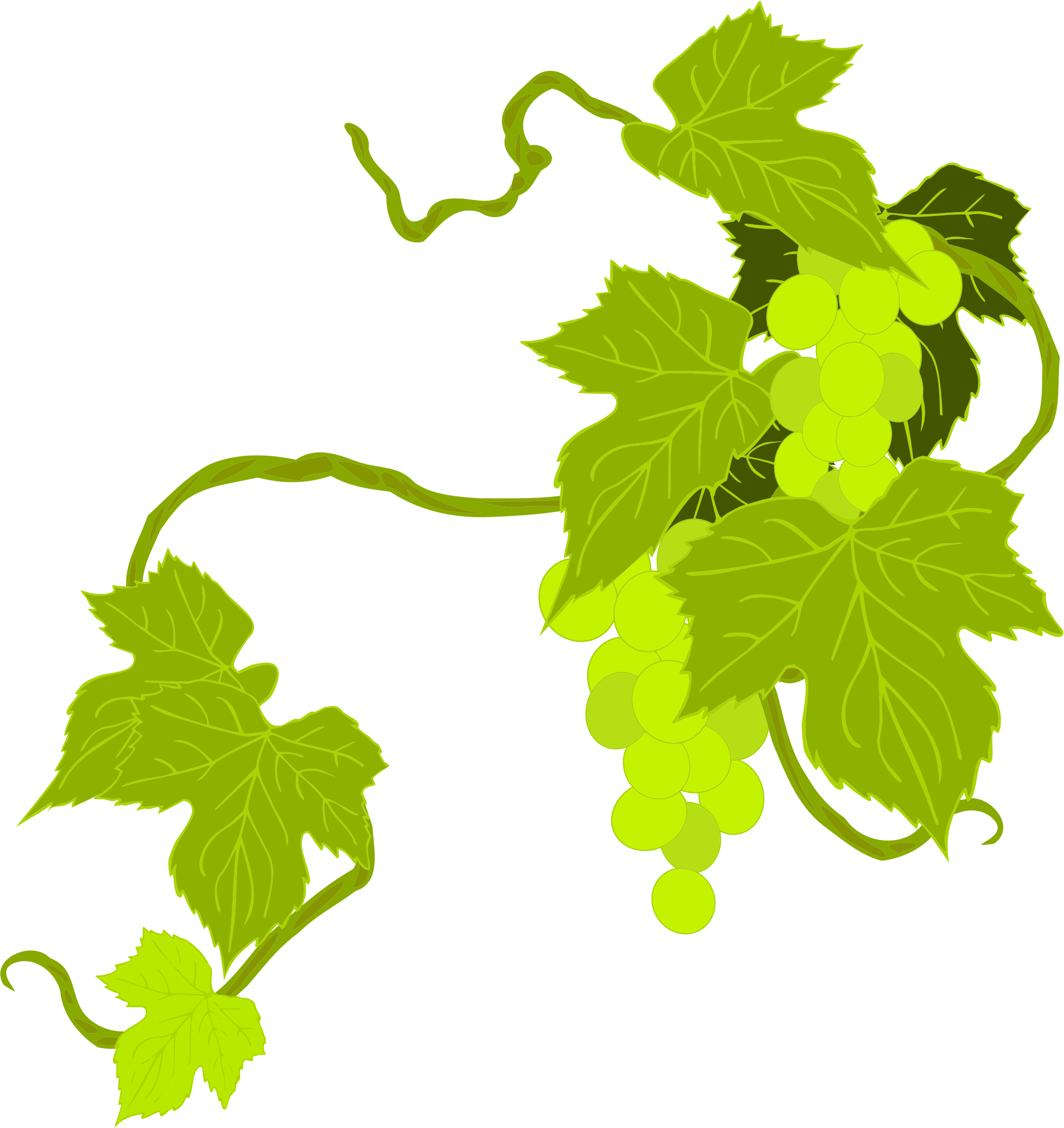 This Free Icons Png Design Of Grapes Illustration (2118x2245), Png Download