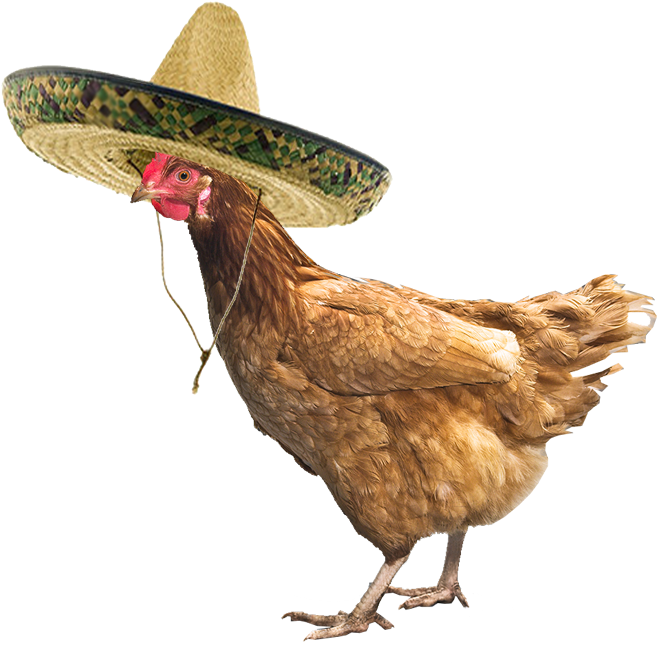 The Chicken Cinco De Mayo Party St - Chicken Png (709x709), Png Download