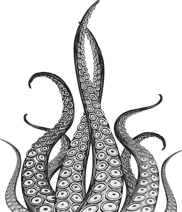 Octopus Tentacles Png Pic - Octopus Tentacles Drawing (864x868), Png Download