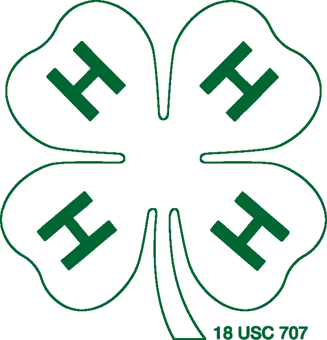 White W/ Green Outline 4-h Clover Png - 4 H Logo White (663x688), Png Download