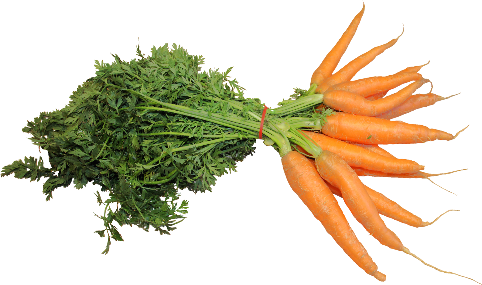Vegetables Png Images - Fresh Carrot Png (1689x1057), Png Download
