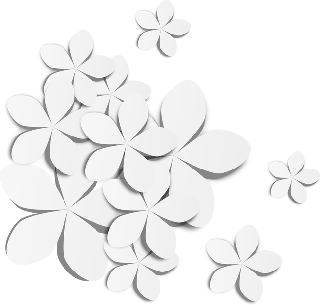 White Flowers Transprent Png Free Download Symmetry - Flower Vector White Png (650x619), Png Download