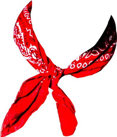 La Bande À Renaud - Bandana De Renaud (500x500), Png Download
