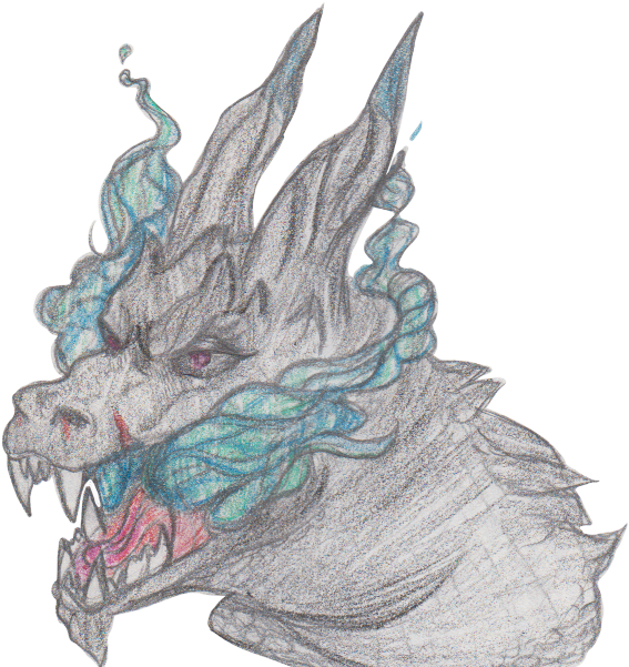 Mega Charizard X - Dragon (570x610), Png Download