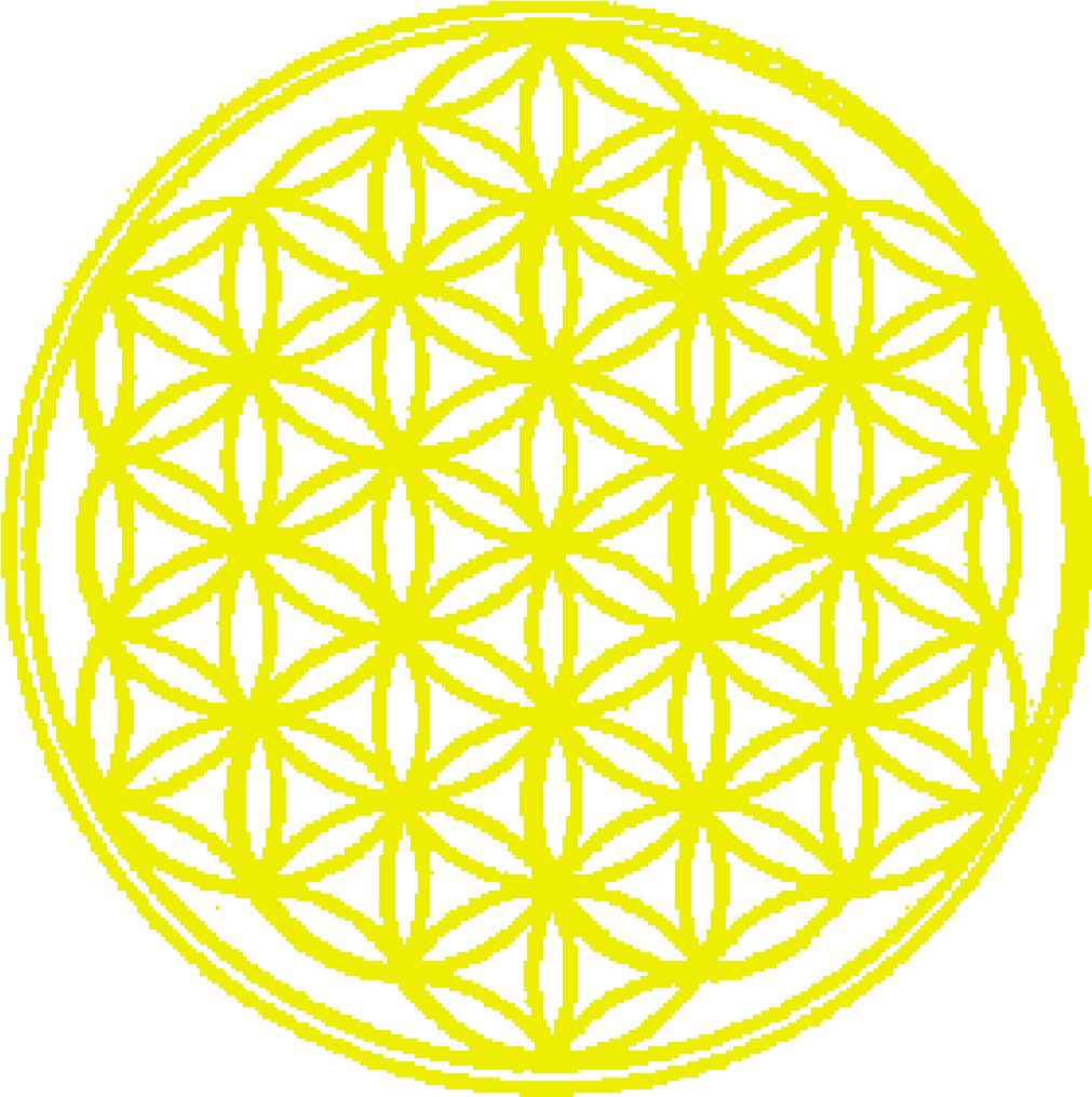 Hardwick Flower Of Life Yellow1 - Flower Of Life Band (1111x1111), Png Download
