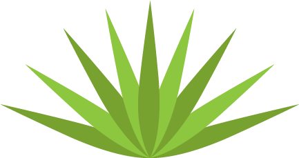 Agave Succulent Wall Decal - Agave (660x500), Png Download