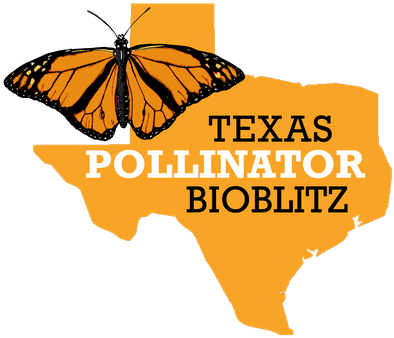 Pollinator Bioblitz Logo - Texas (400x352), Png Download