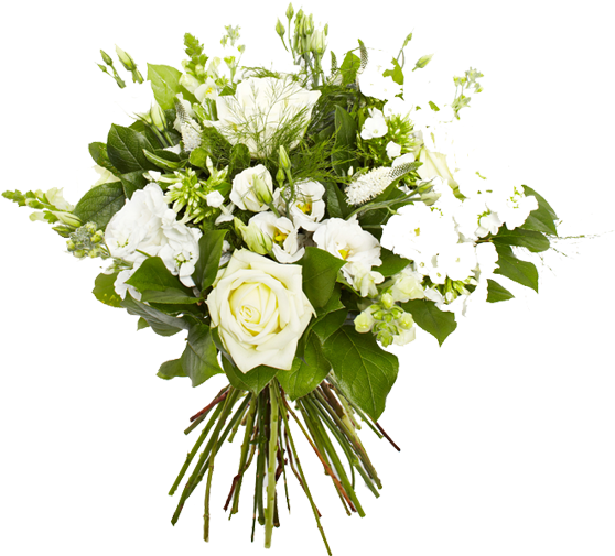 Png Freeuse Bouquet Transparent White - Flower (734x506), Png Download