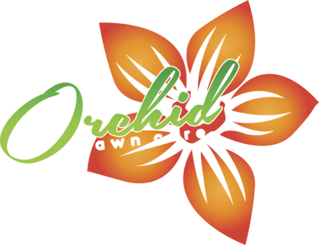 Orchid Lawn Care - Lawn (640x491), Png Download