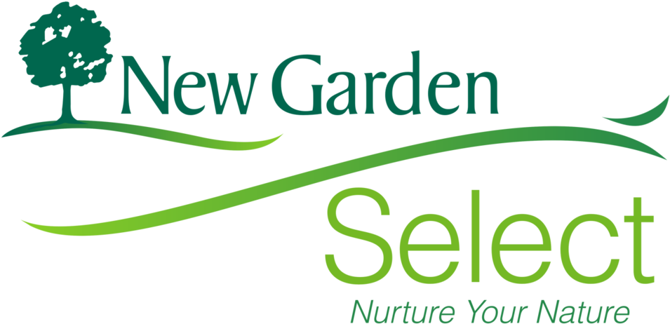 Portable Network Graphics (1000x517), Png Download