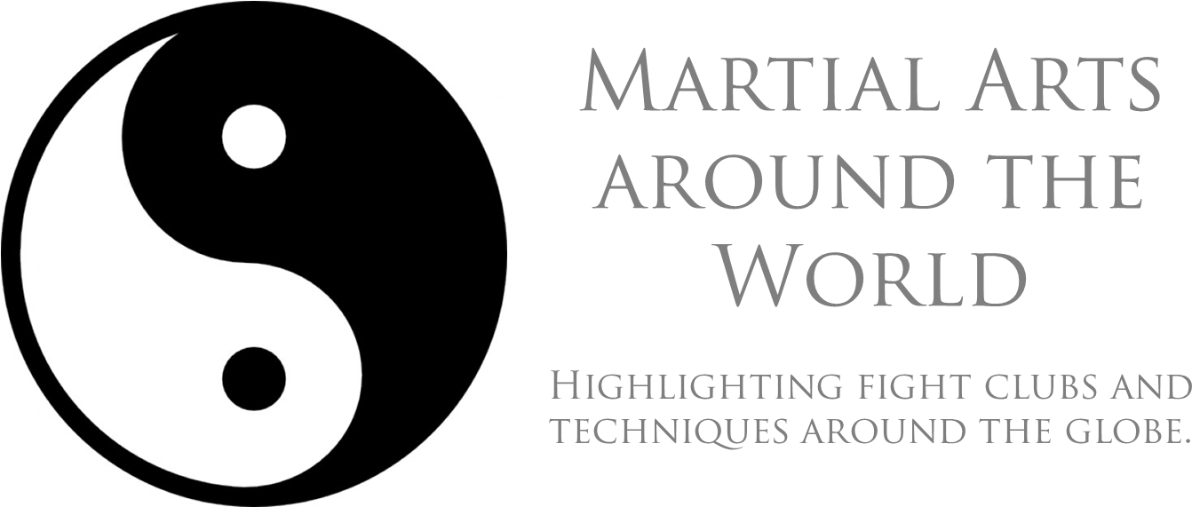 Martial Arts Around The World - Martial Arts Logo Png (1397x570), Png Download