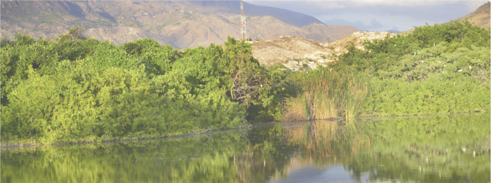 Haiti (1000x373), Png Download