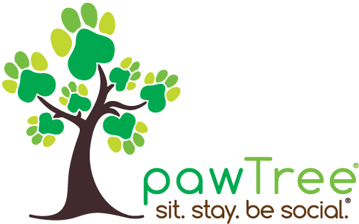 Paw Tree Direct Sales (612x792), Png Download