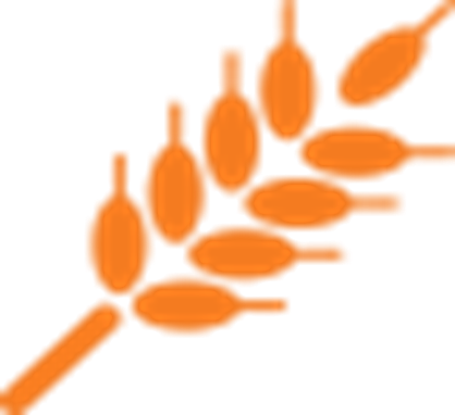 Grain Services - Icono Espiga Png (418x382), Png Download