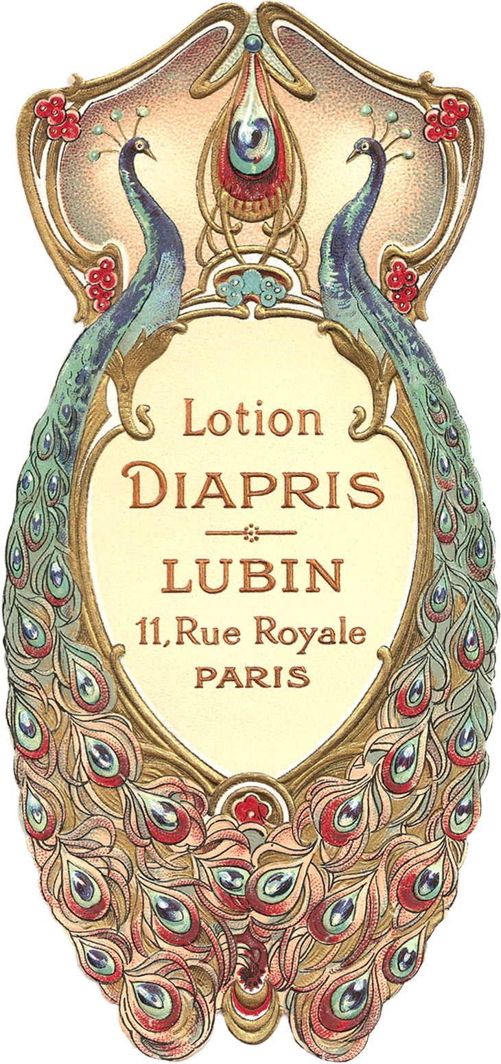 Wings Of Whimsy - France Vintage Tags Labels (730x1550), Png Download