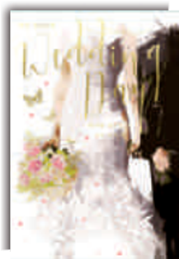 Wedding Day C50 - Picture Frame (400x400), Png Download