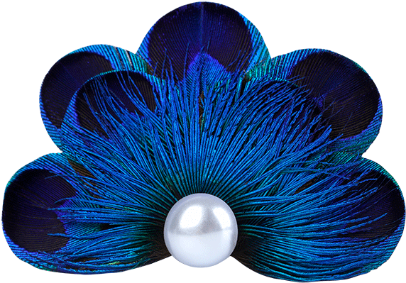 Peacock Feather Pearl Pet Hair Clip - Peacock Feather Hair In Png (800x800), Png Download