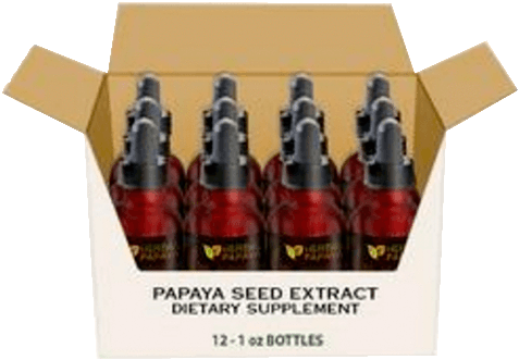 Papaya Seed Extract Liquid - Herbal Papaya Case - Papaya Leaf Extract Liquid - 12 (480x600), Png Download