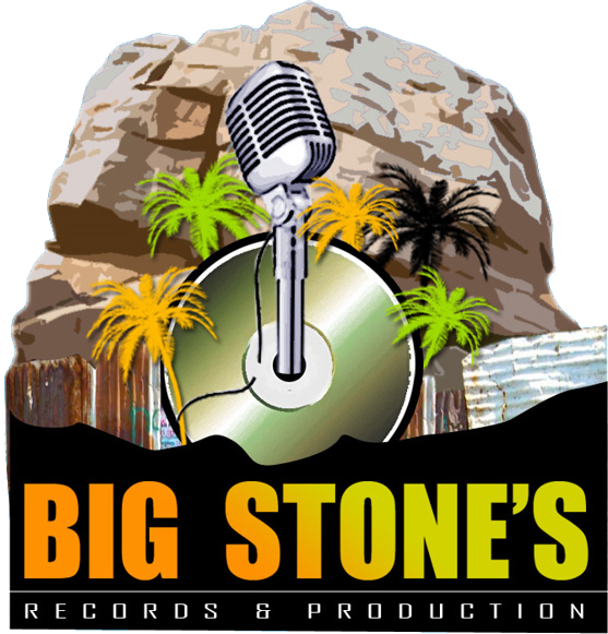 Big Stone Records & Productions - Did I Just Watch (557x581), Png Download