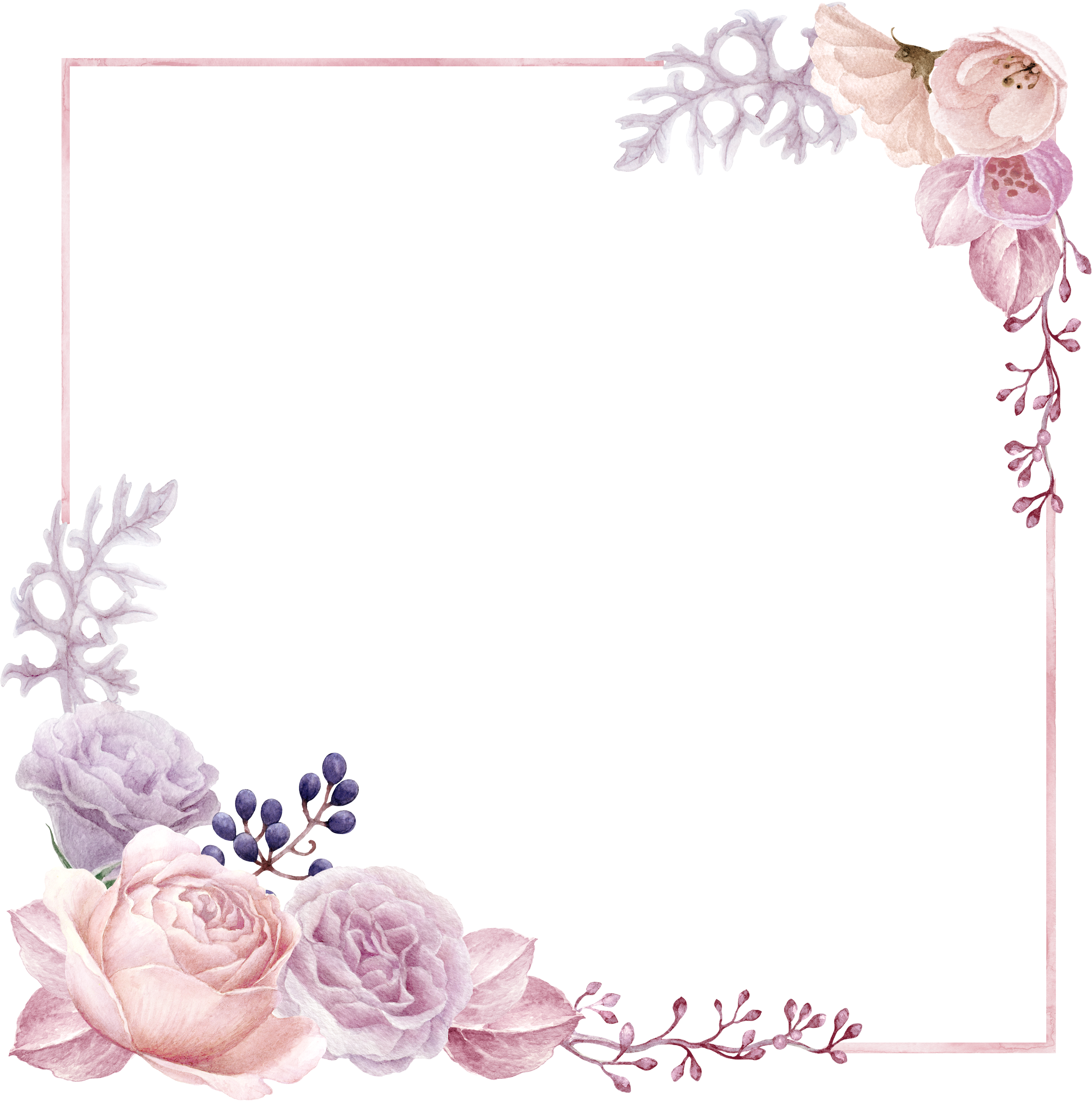 H972 - Garden Roses (3258x3276), Png Download