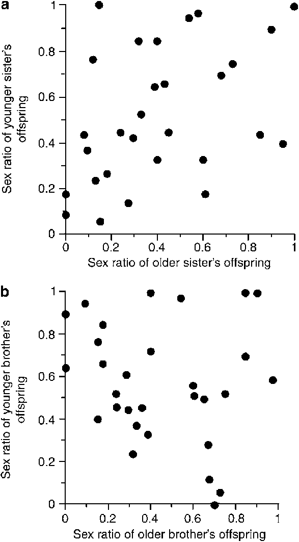 Correlation Between Sisters In Their Offspring Sex - Sex Ratio (587x1063), Png Download