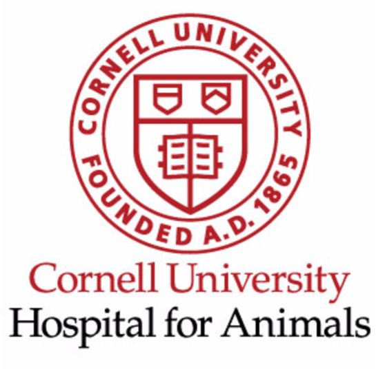 Support Areas - Cornell University Logo (800x535), Png Download