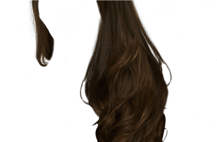 Hair Png Web Icons Png - Cabello Png Para Photoshop (800x491), Png Download