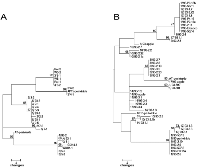 Convergence Histories Of Preconditioned Gmres Inner - Primase (825x626), Png Download