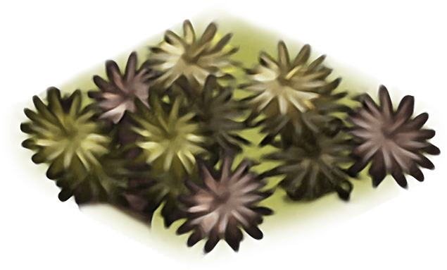 Yucka Path - Artificial Flower (833x417), Png Download
