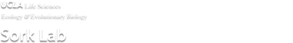 Ikebukuro (960x200), Png Download