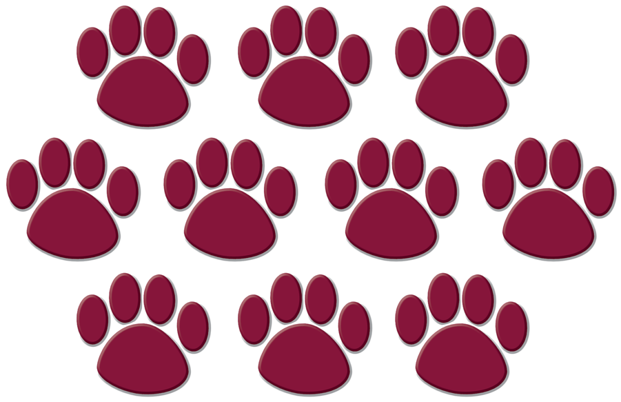 Tcr5046 Maroon Paw Prints Accents Image - Colorful Paw Prints Value-pak Stickers (900x900), Png Download