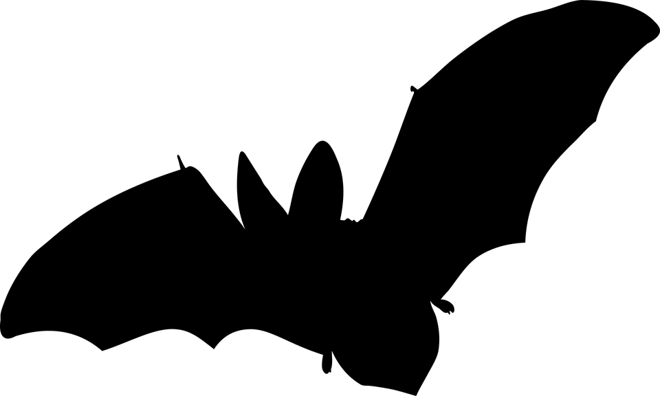 Bat, Mammal, Flying, No Background, Vector - Fledermaus Silhouette (960x576), Png Download