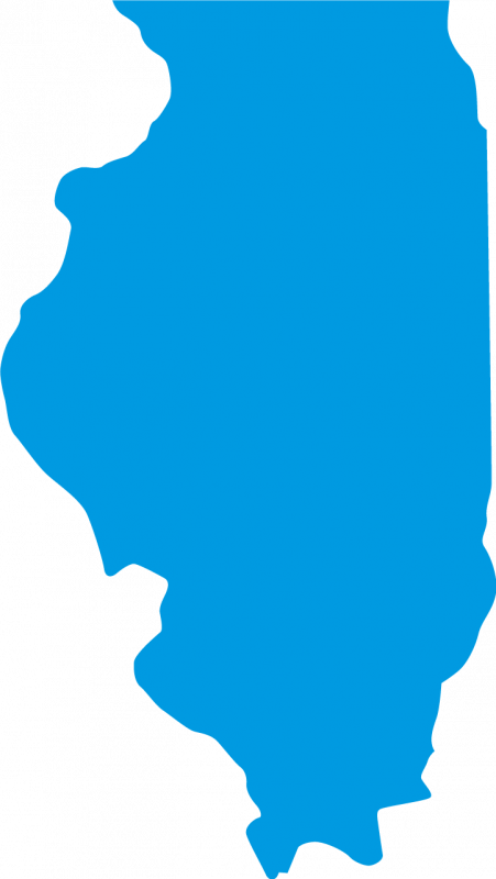 Chicago Illinois Cliparts - Illinois State Outline (451x800), Png Download
