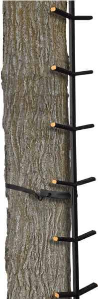 The Ascender - Ladder Stand Climbing Stick (600x600), Png Download