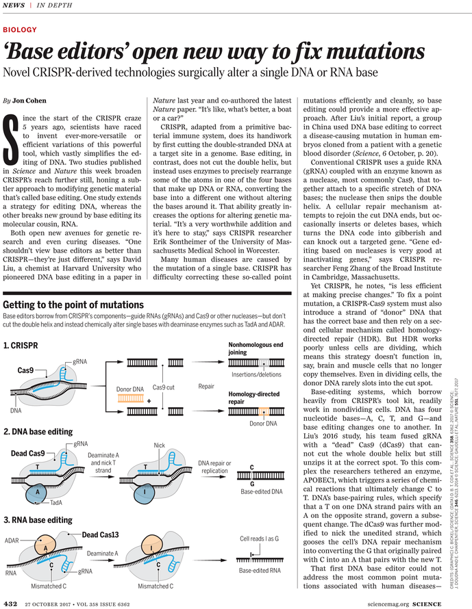 Crispr (729x929), Png Download