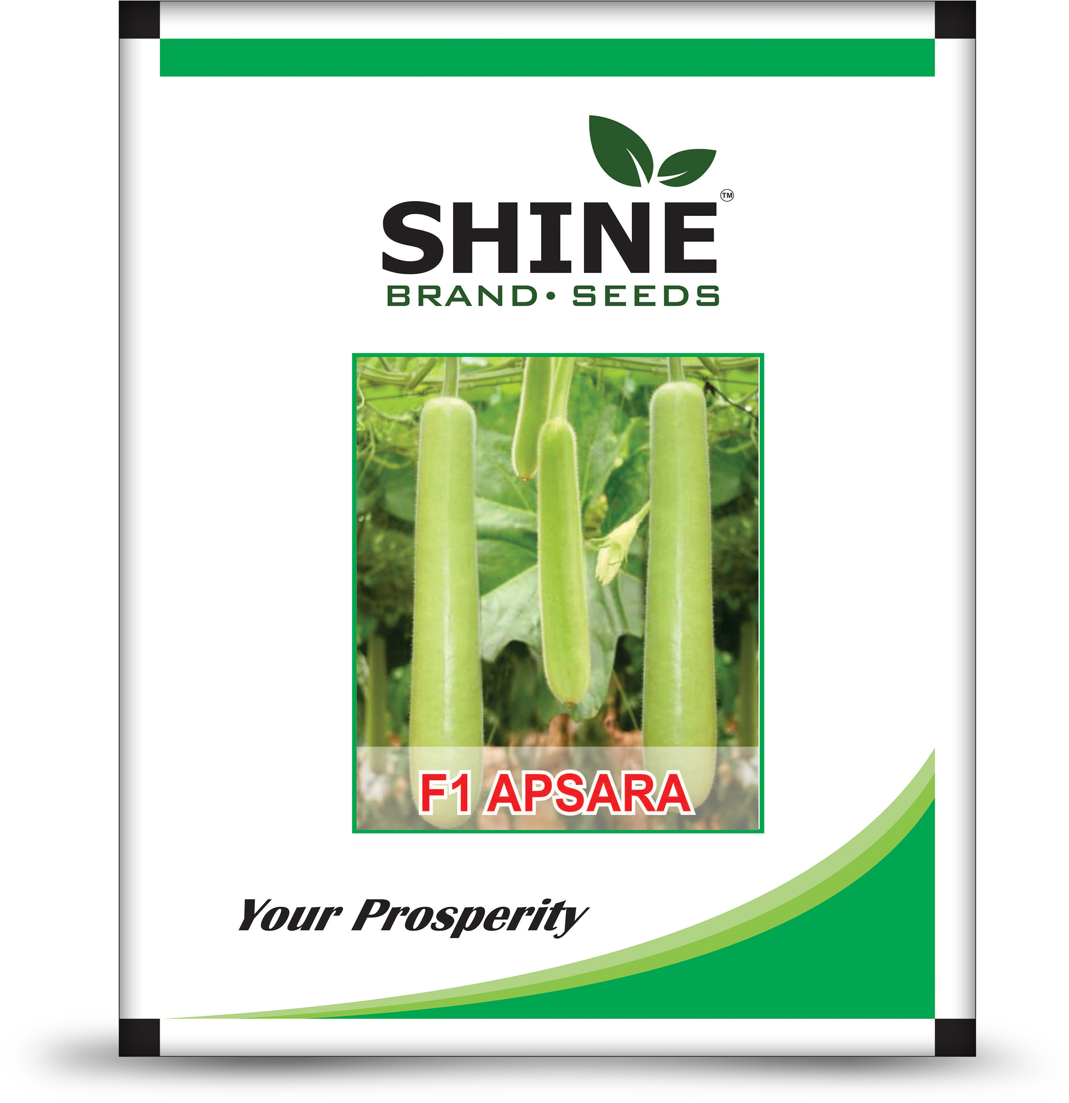 Pepper Agro Vegetable Seed Gourd 8 Variety (2272x2362), Png Download