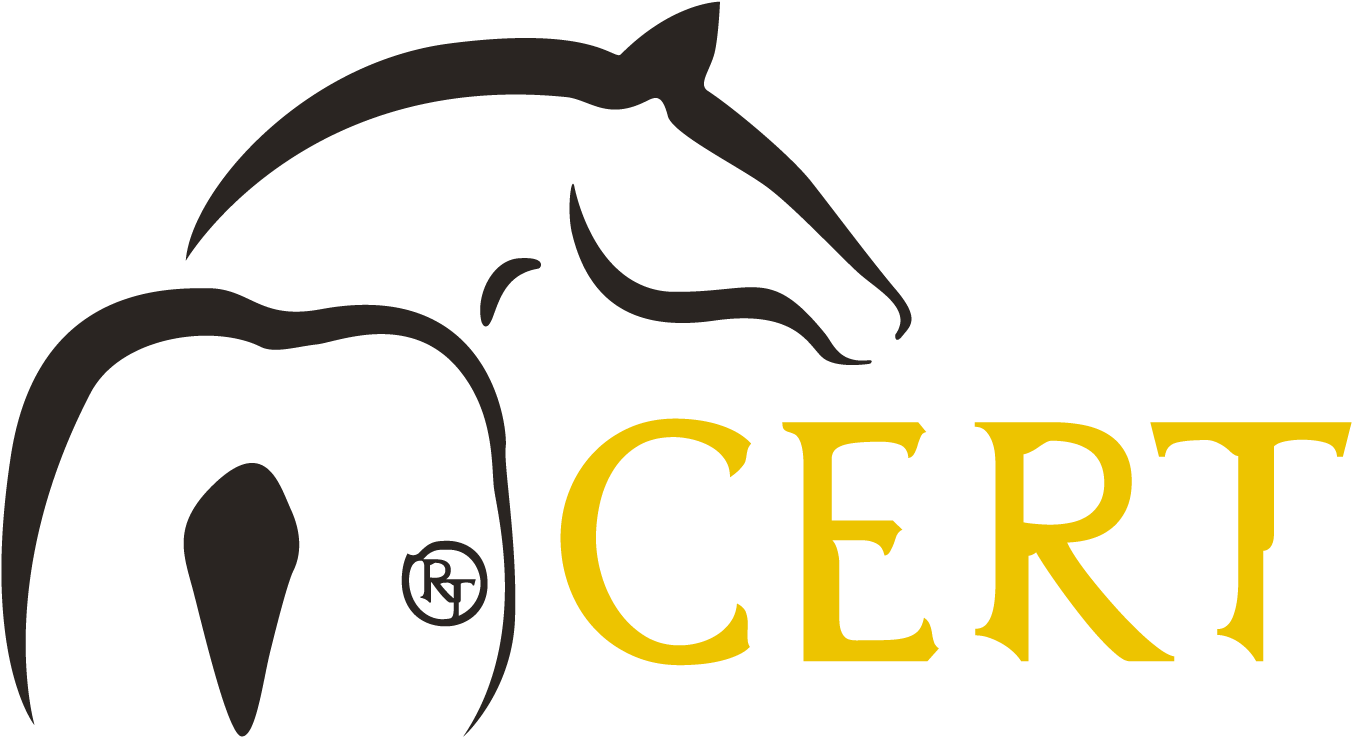 By Offering Riding Lessons, Occupational Therapy, Sales - Rancho Tecate (1450x818), Png Download