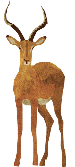 About Each Animal's Behaviour And Surrounding Lore - Wild Animals In Png (300x665), Png Download