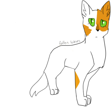 Fallen Leaves - Asian (500x438), Png Download