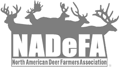 Nadefa 2008 Logo1 - Nadefa (640x320), Png Download