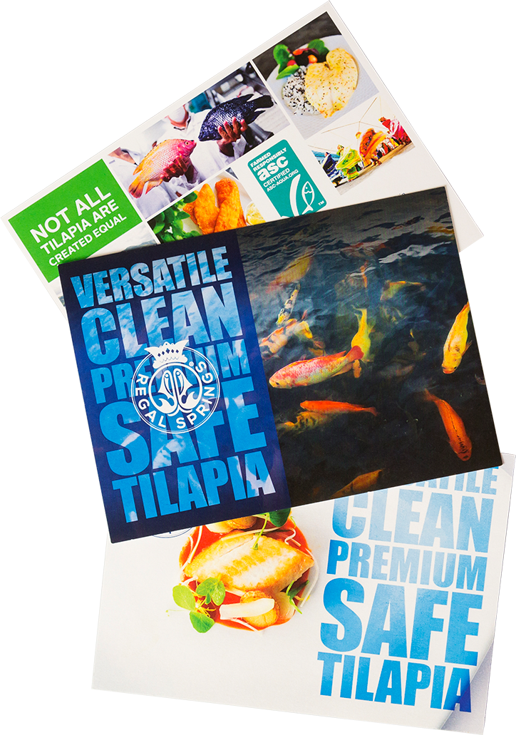 Regal Springs Notcards - Flyer (724x1031), Png Download