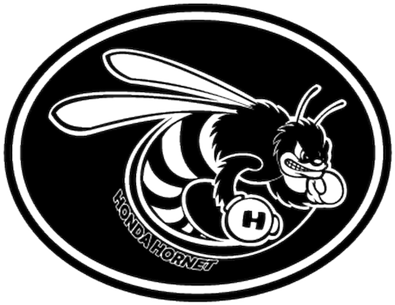 Honda Hornet (800x800), Png Download