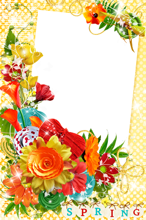 Photo Frame - Spring Colors - Cuadros Para Fotos De Primavera (298x448), Png Download