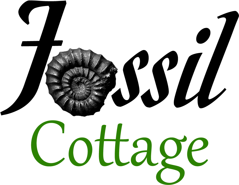 Fossil Cottage Fossil Cottage - Mr. Right Queen Duvet (1000x784), Png Download