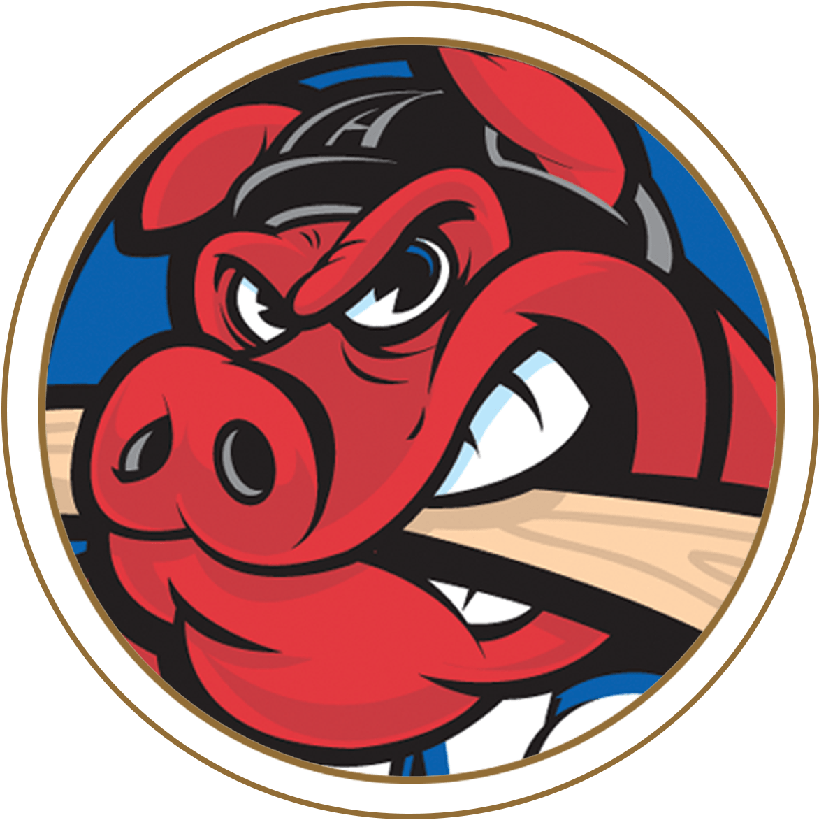 Download - Rockford Icehogs Logo (1500x1500), Png Download